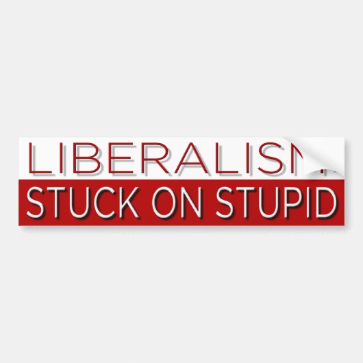Stuck op Stupid Bumpersticker (Voorkant)