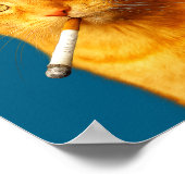 Stud Cool Funny Cat Meme Smoking Cat Cigarette Poster (Hoek)