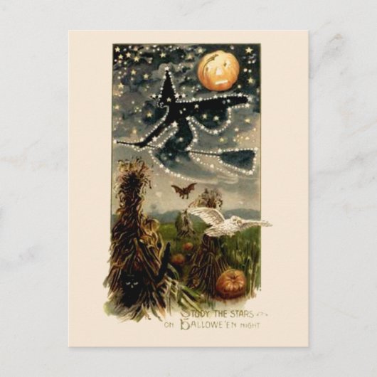 Studeer de sterren op Halloween Night-Briefkaart Briefkaart (Voorkant)