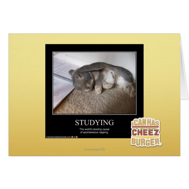Studie (Voorkant Horizontaal)