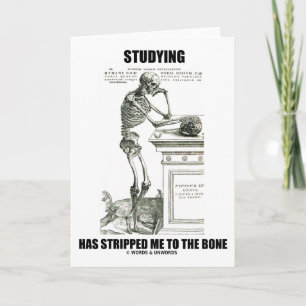 Studie heeft me gestript naar de botten (skelet) kaart