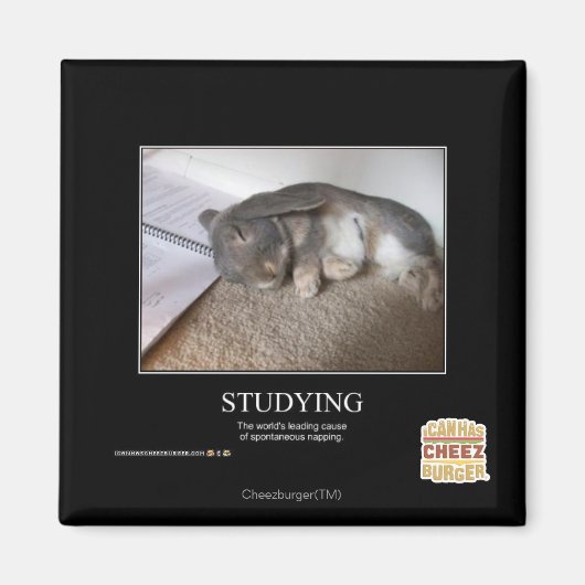 Studie Magneet (Voorkant)