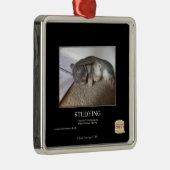 Studie Metalen Ornament (Rechts)