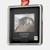 Studie Metalen Ornament (Links)