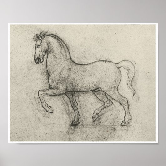 Studie naar een paard, Leonardo Da Vinci Poster (Voorkant)