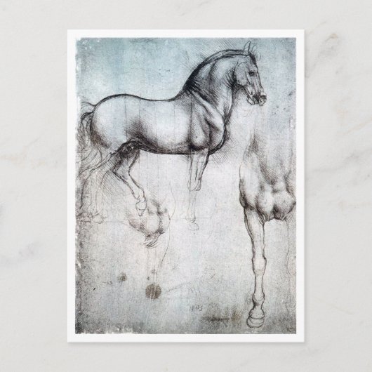 Studie naar paarden, Leonardo da Vinci Briefkaart (Voorkant)