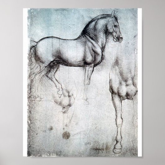 Studie naar paarden, Leonardo da Vinci Poster (Voorkant)