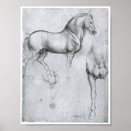 Studie naar paarden, Leonardo Da Vinci Poster