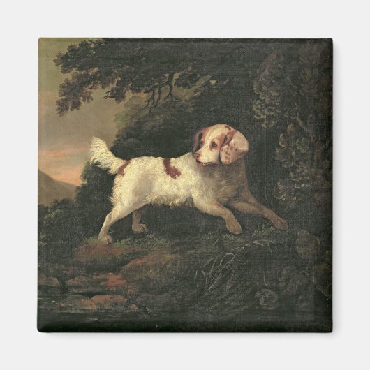 Studie van Clumber Spaniel Magneet (Voorkant)