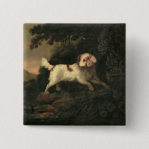Studie van Clumber Spaniel Vierkante Button 5,1 Cm