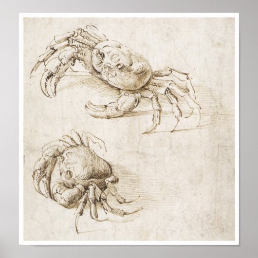 Studie van Crab, Leonardo da Vinci Poster (Voorkant)