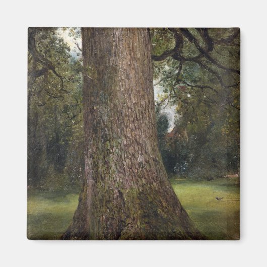 Studie van de boomstam van een Elm Tree, c.1821 (o Magneet (Voorkant)