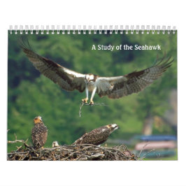Studie van de Seahawk Kalender