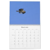 Studie van de Seahawk Kalender (Mar 2026)