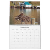 Studie van de Seahawk Kalender (Feb 2026)