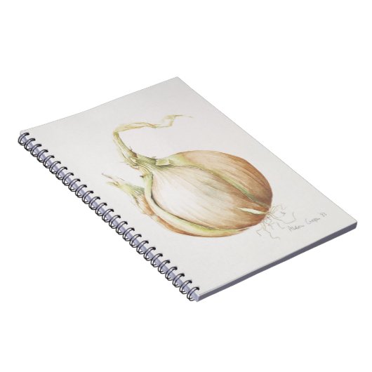 Studie van de Ui 1993 Notitieboek (Rechterzijde)