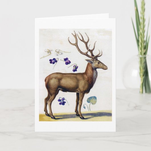 Studie van Der en Bloem, Arcimboldo Kaart (Voorkant)