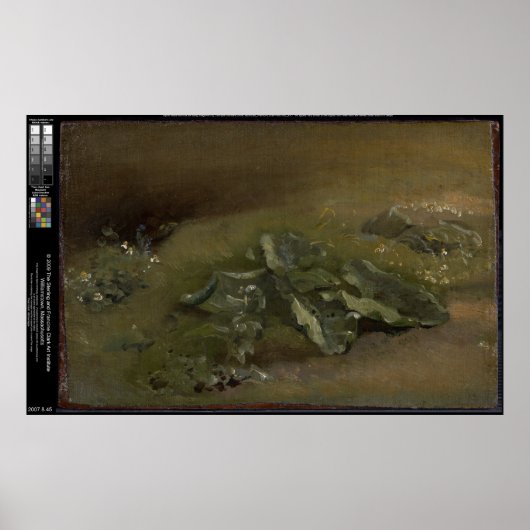 Studie van een Burdock - John Constable Poster (Voorkant)
