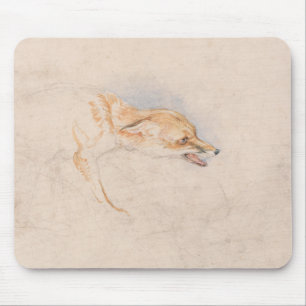 Studie van een Crouching Fox (door John Frederick Muismat