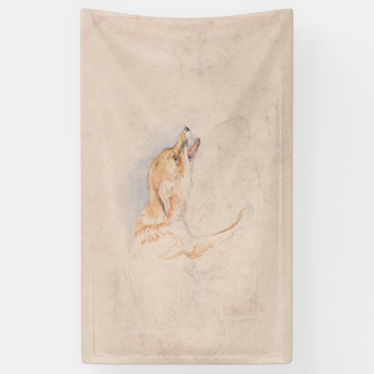 Studie van een Crouching Fox (door John Frederick  Spandoek (Verticaal)