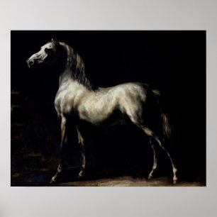 Studie van een Dapple Grey Poster