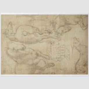 Studie van een document voor ontkoppeling van paar tissuepapier