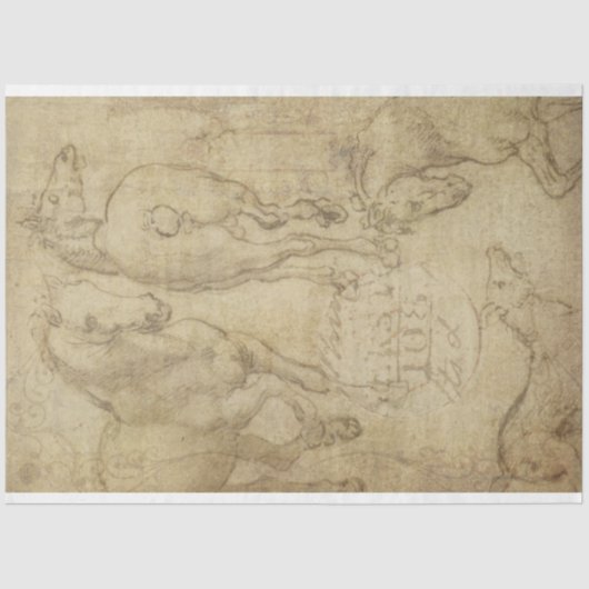 Studie van een document voor ontkoppeling van paar tissuepapier (Voorkant)