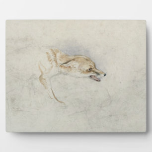 Studie van een forel Fox, naar rechts gericht: fla Fotoplaat