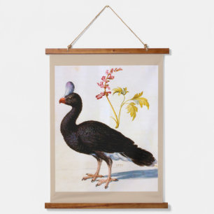 Studie van een Helmeted Curassow, Arcimboldo Hangend Wandkleed