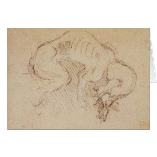 Studie van een hond (Voorkant Horizontaal)