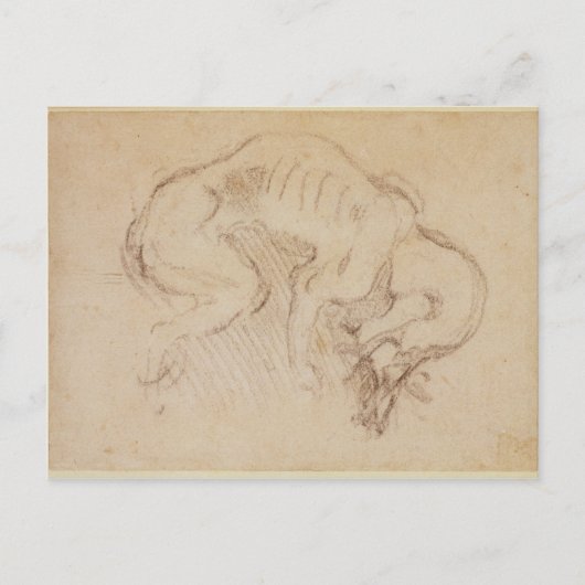 Studie van een hond briefkaart (Voorkant)