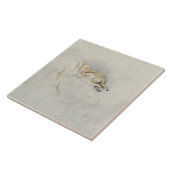 Studie van een kringende Fox, naar rechts gericht: Tegeltje (Zijkant)