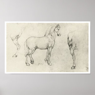 Studie van een paard en het is achtervoeten, Da Vi Poster