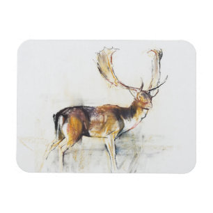 Studie van een Stag Magneet