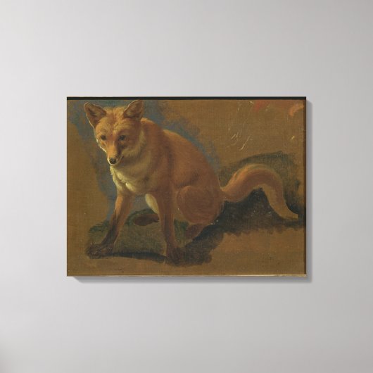 Studie van een vos (olie op het paneel) canvas afdruk (Voorkant)