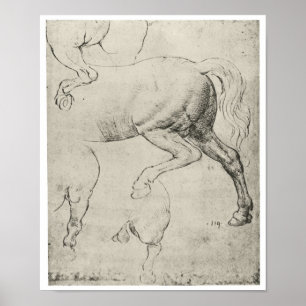 Studie van het achterkwartier van een paard, Da Vi Poster