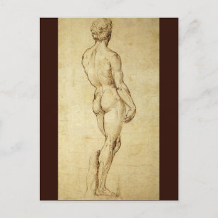 Studie van het David-standbeeld van Michelangelo d Briefkaart