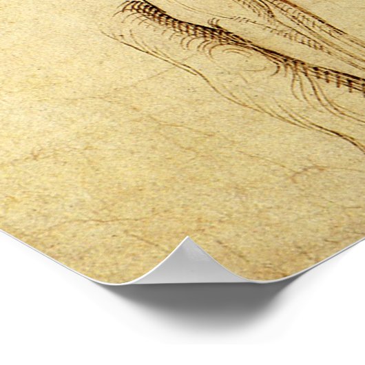 Studie van het David-standbeeld van Michelangelo d Poster (Hoek)