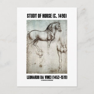 Studie van het paard (ca. 1490) Leonardo da Vinci Briefkaart