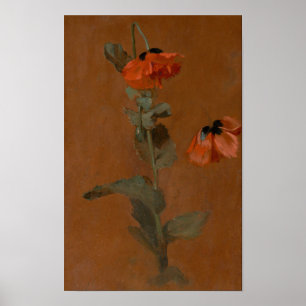 Studie van papavers - James Inskipp Poster