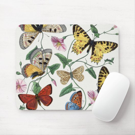 Studie van Paul Gervais naar diurnale vlinders Muismat (Met muis)