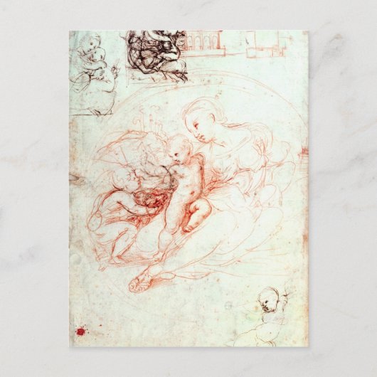 Studie voor de Alba Madonna, c.1508-09 Briefkaart (Voorkant)