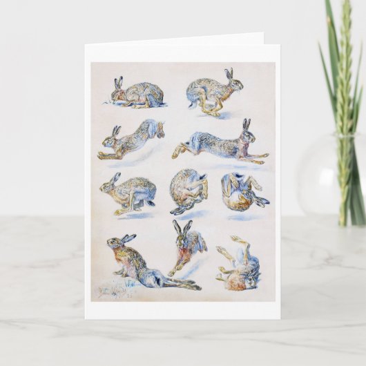 Studies met wilde Hare (konijn), Bruno Liljefors Kaart (Voorkant)