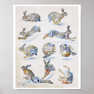 Studies met wilde Hare (konijn), Bruno Liljefors Poster