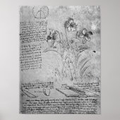 Studies over Violas Poster (Voorkant)