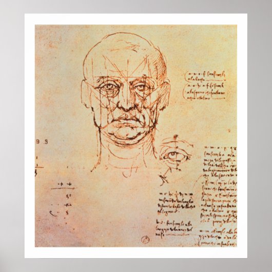 Studies van de porties van het gezicht en het oog, poster (Voorkant)