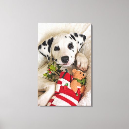 studio canvas afdruk (Voorkant)