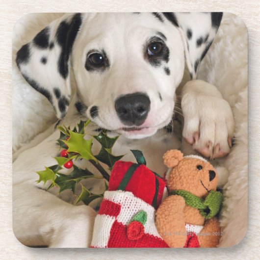 studio drankjes onderzetter (Voorkant)