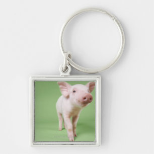 Studio Knipt uit een piglet-opstand Sleutelhanger