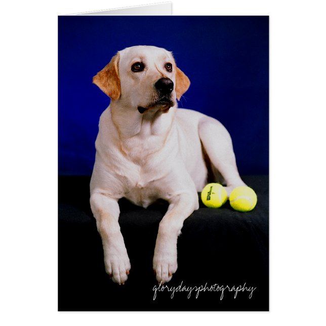 studio marin, glorydaysphotography (Devant)